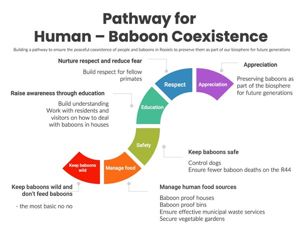 rooiels-conservancy-babooncoexistence-pathway-img