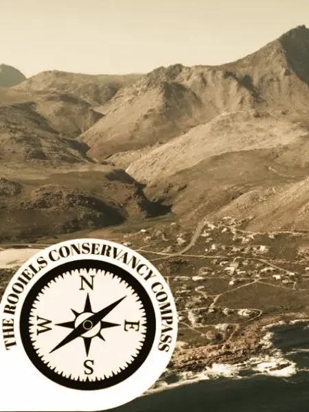 The Compass Newsletter