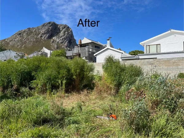 rooiels-conservancy-hack-after-img