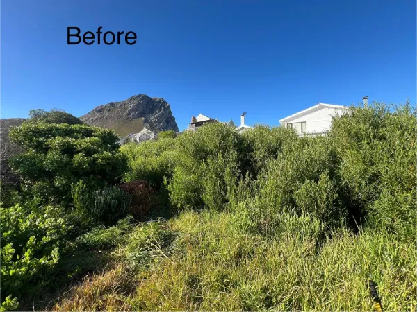 rooiels-conservancy-hack-before-img