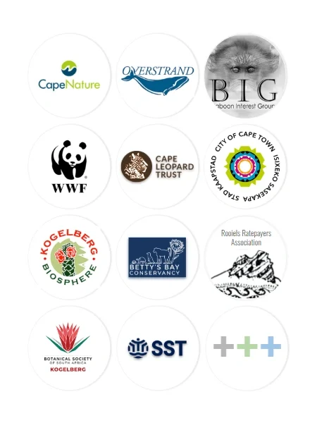 Partnerships & Collaborations