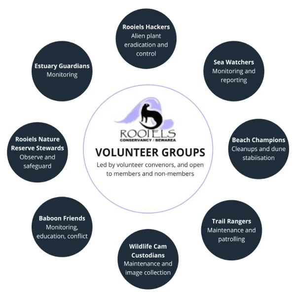 rooiels-conservancy-volunteer-overview-img
