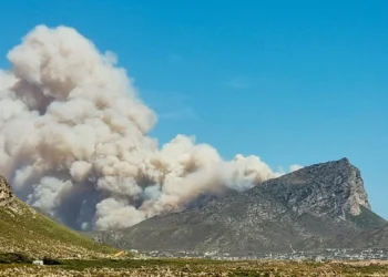 rooiels-firewise-pringle2-img rooiels-firewise-pringle2-img