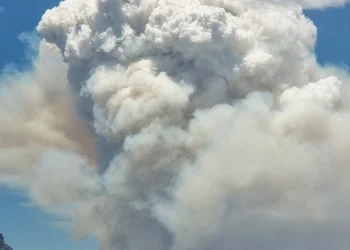 rooiels-firewise-pringle3-img rooiels-firewise-pringle3-img