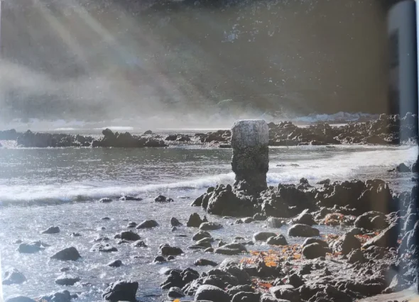 rooiels-publications-book-illustration2-img