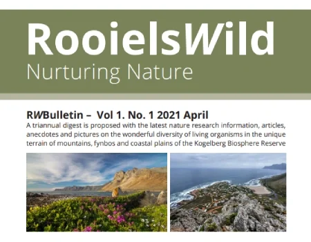 RooielsWild