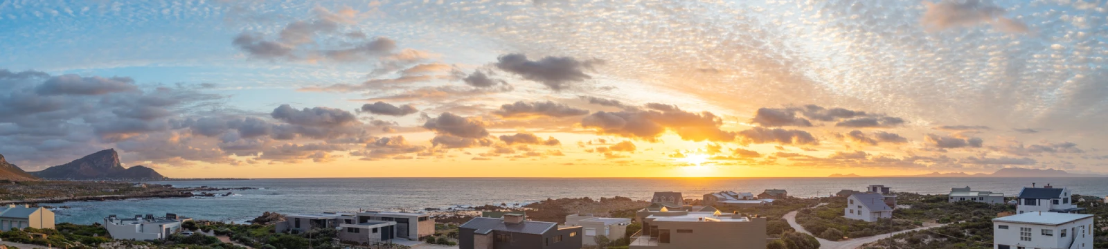 rooiels-rooiels101-banner-img